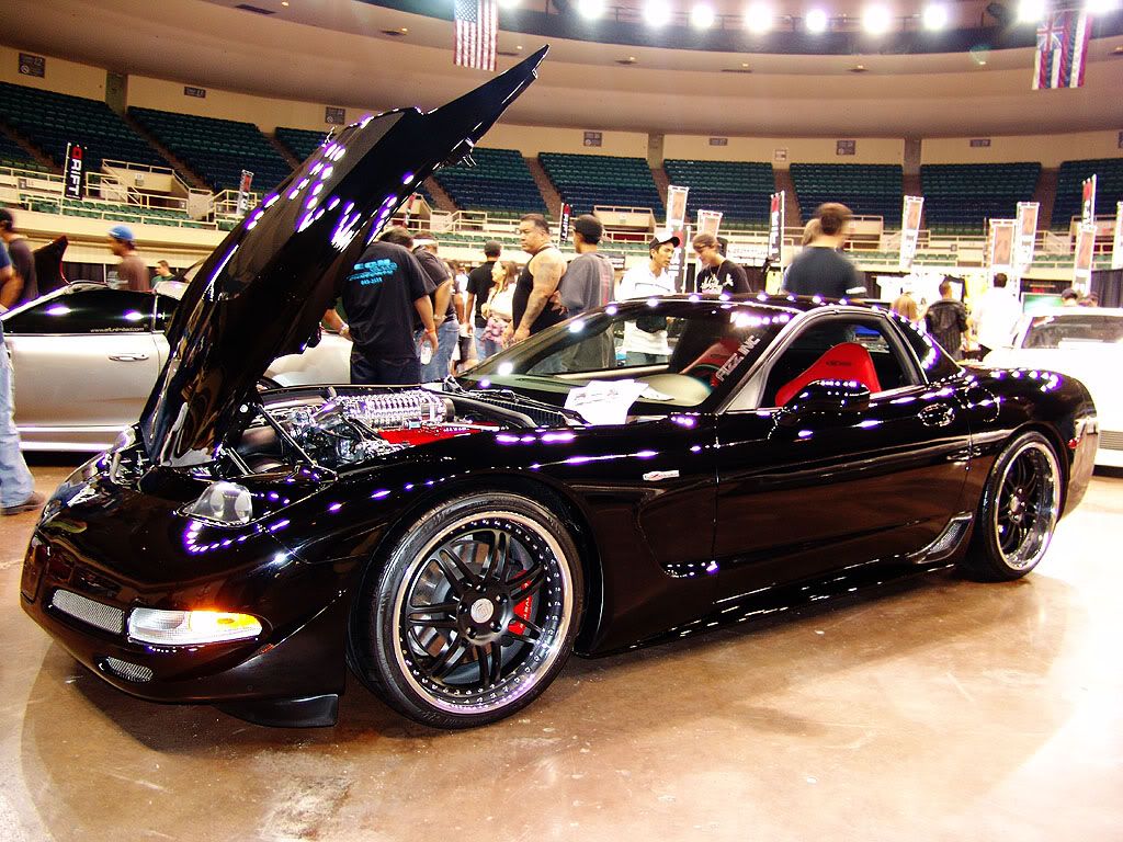 DSC06465.jpg