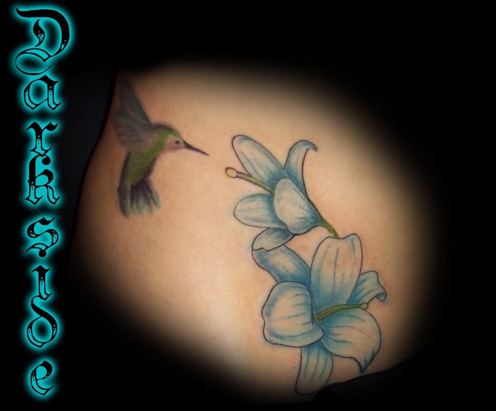 HummingBird Tattoo