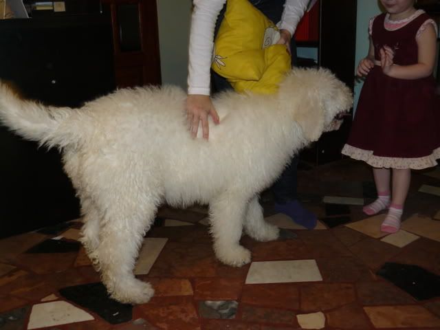 P1000860.jpg