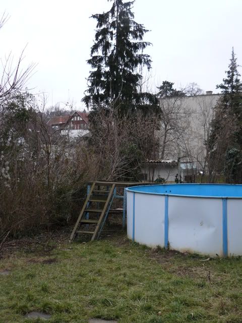 P1000961.jpg