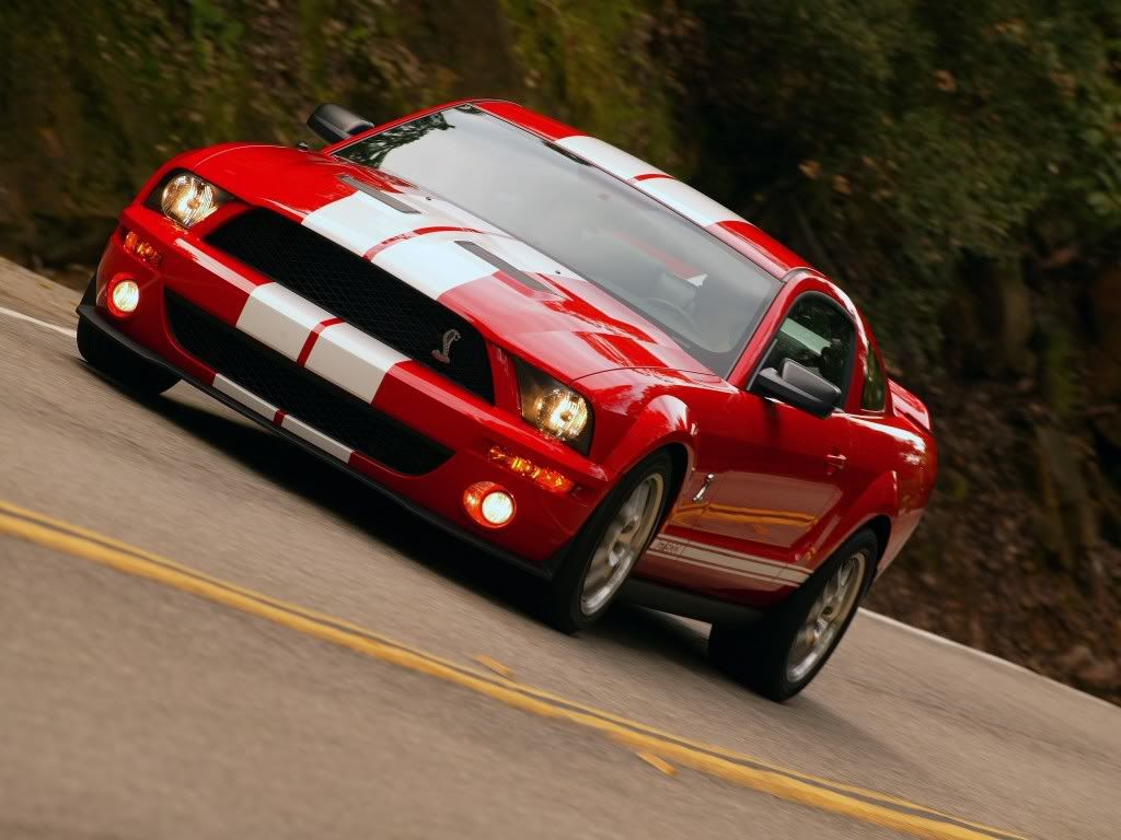 ford_mustang-shelby-gt500_r9.jpg