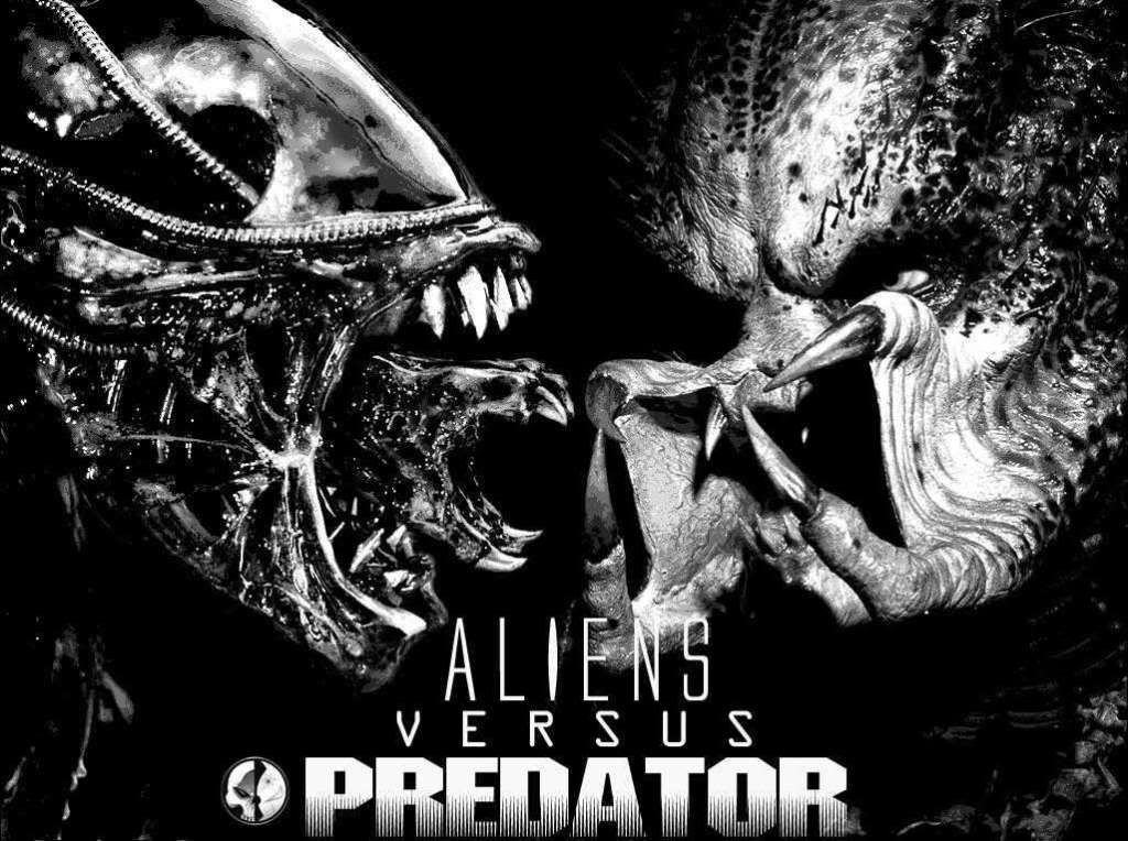 predator vs alien Pictures, Images and Photos