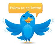  ���������� � ����������� ����� ��������� (followers) � Twitter.