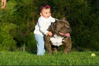 KING GOTTI N K.K.
