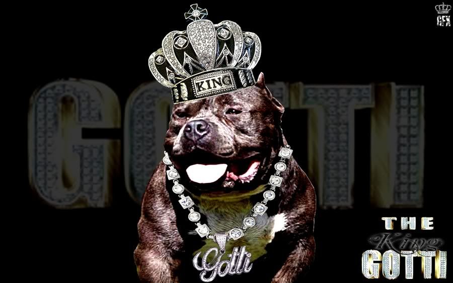 KING GOTTI