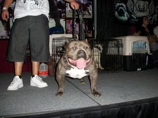 KING GOTTI