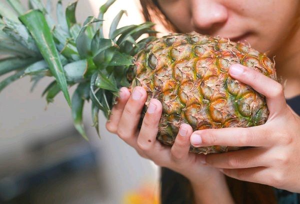 giá phẫu thuật nâng mũi sline - dứa giá phẫu thuật nâng mũi sline - dứa
