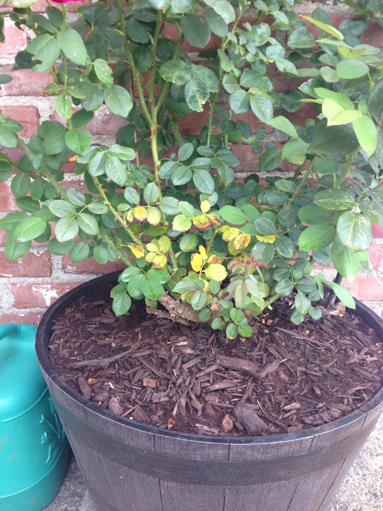  photo 5B6CCCC8-A2A2-49D0-AF5F-554B022CFE1D.jpg