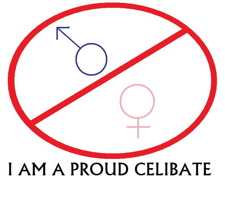 against,heterosexuallity,celibate,celibacy,misogyny,misogynist,asexual,banner,flag,comment,sticker