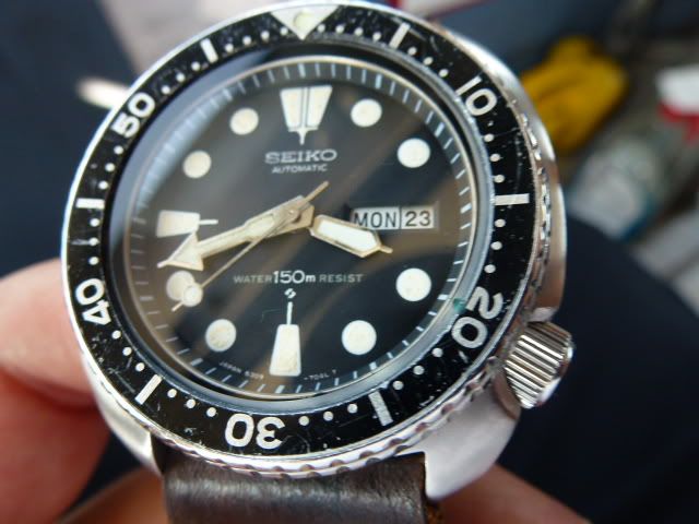 6309-7040Orig-1.jpg
