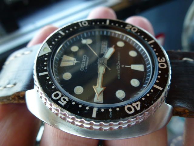 6309-7040Orig-8.jpg