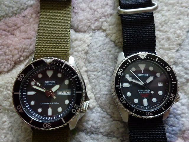 P1020194.jpg