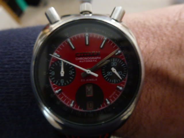 P1020813.jpg