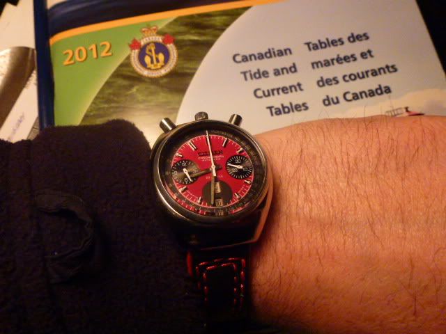 P1020824.jpg