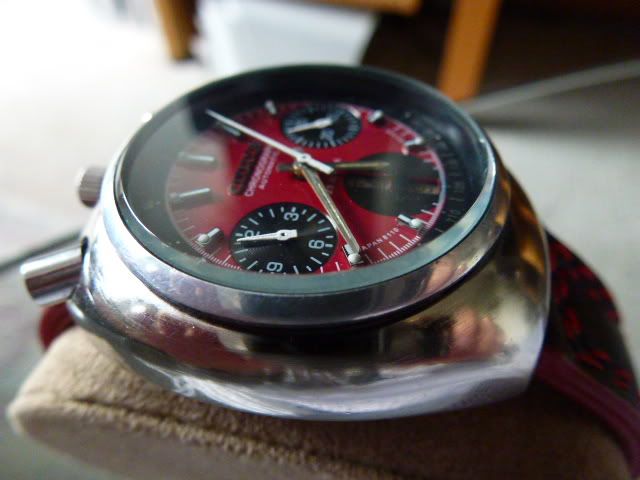 P1040086.jpg