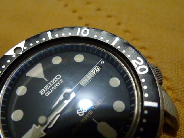 P1040127.jpg