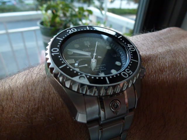 P1040928-Copy.jpg