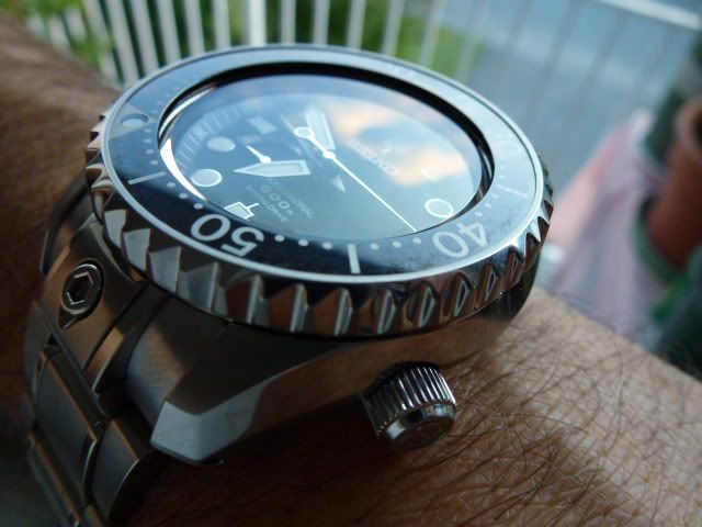 P1040929-Copy.jpg