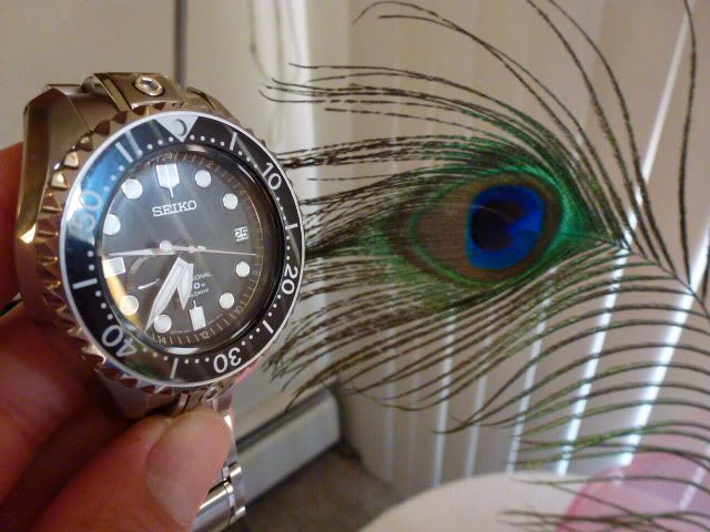 P1040955.jpg