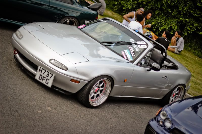 [Image: IMG_4404-64.jpg]