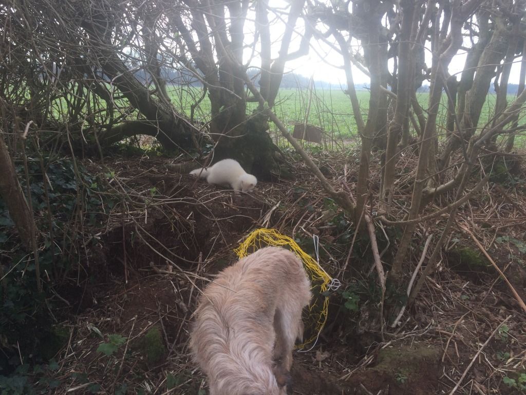 2960BE2F-1755-4540-931F-5F0BADB2A75C_zps